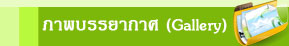 ที่พักเขาค้อ, รีสอร์ทเขาค้อ, เขาค้อฟลอร่า รีสอร์ท, โรงแรมเขาค้อ, เขาค้อ, ที่พักจังหวัดเพชรบรูณ์, ที่พักราคาถูก, เขาค้อรีสอร์ท 